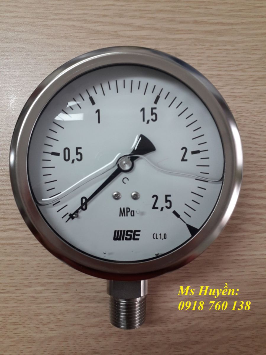 Đồng hồ áp suất Model P255 có dầu Glycerin
